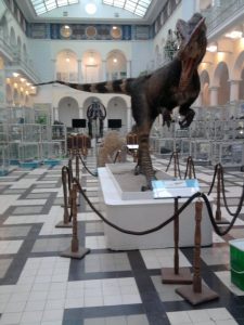 Gdy kamienie były żywe...